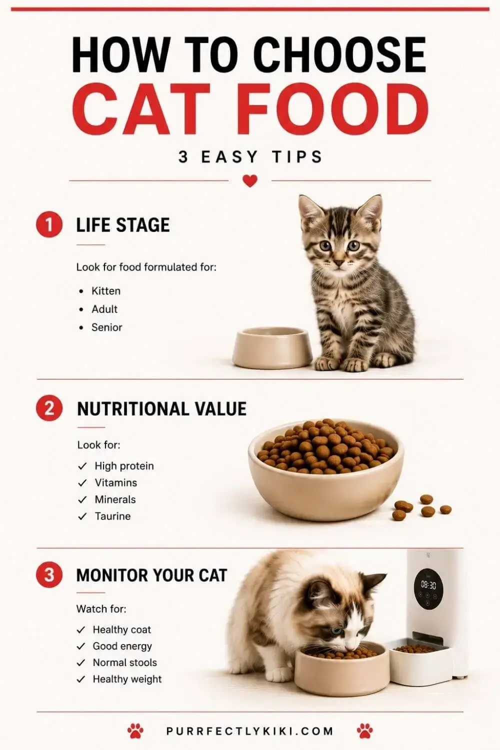 3 Easy Tips to Choose The Right Cat Food - IAI