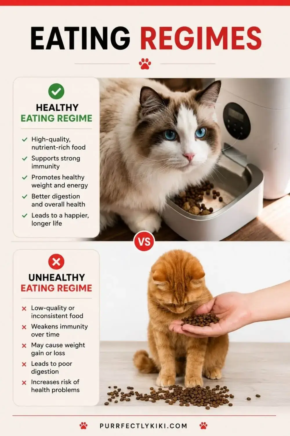 Healthy and Unhealthy Eating Regimes for Cats - IAI