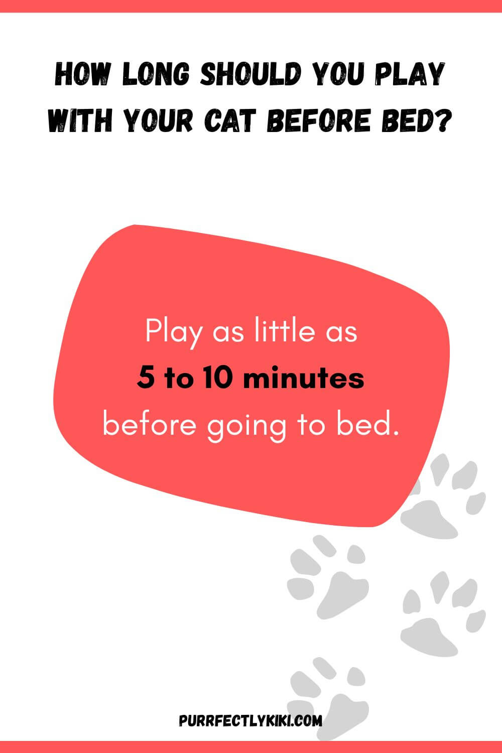 How Long Should You Play with Your Cat Before Bed - 5 to 10 Minutes IAI