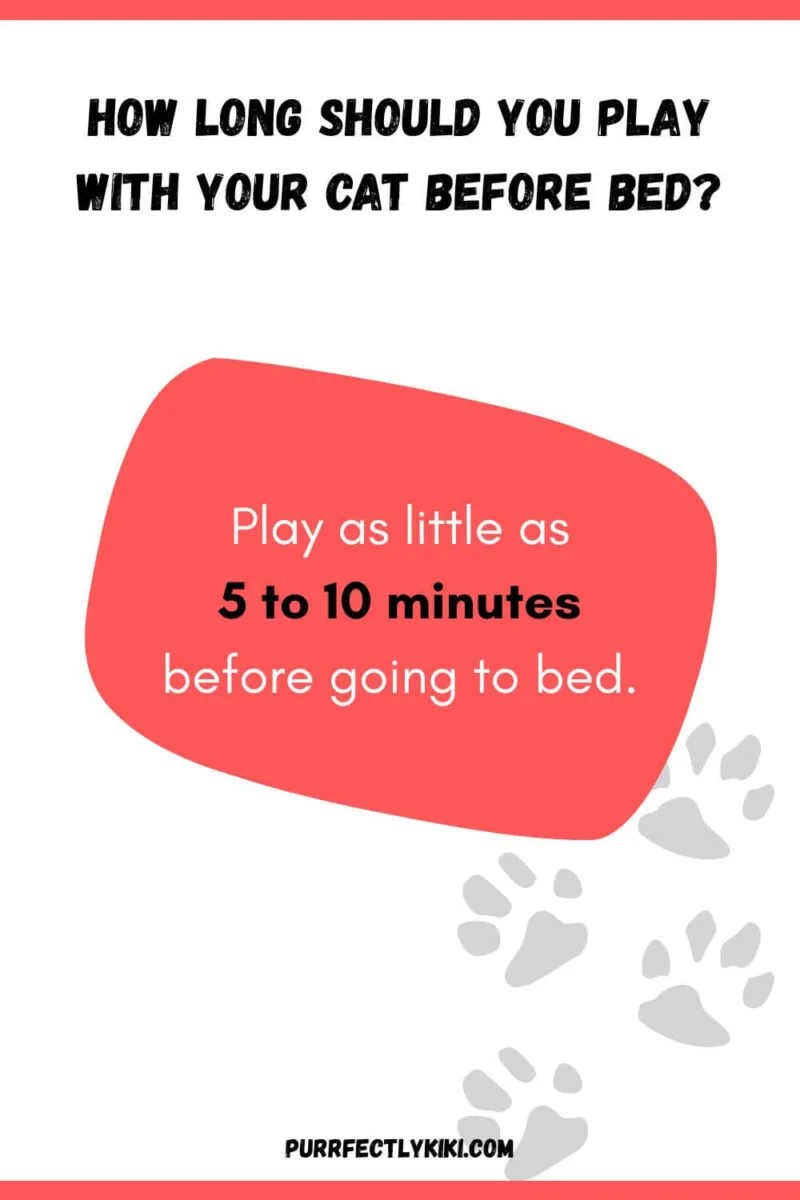 How Long Should You Play with Your Cat Before Bed IAI