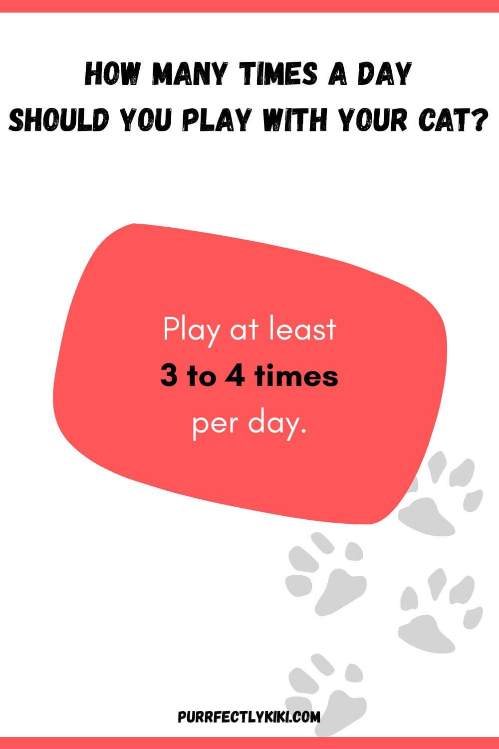 How Many Times a Day Should You Play with Your Cat - 3 to 4 Times IAI