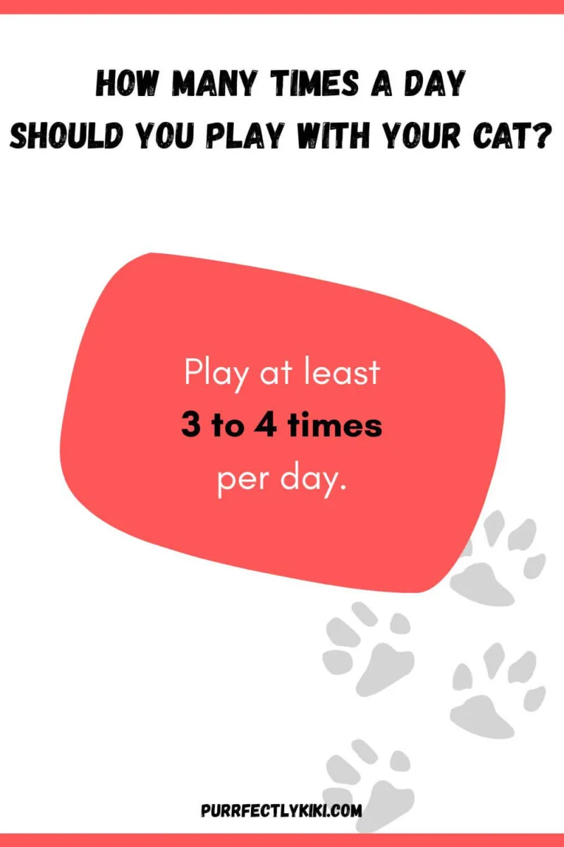 How Many Times a Day Should You Play with Your Cat IAI