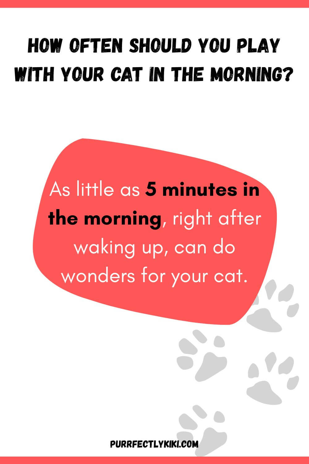 How Often Should You Play with Your Cat in the Morning - at Least 5 Minutes IAI
