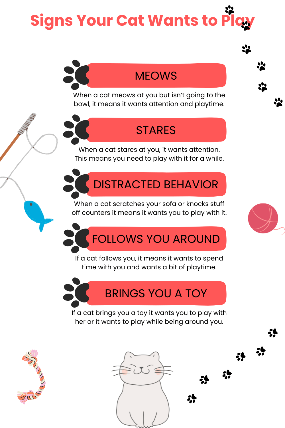 Signs Your Cat Wants to Play