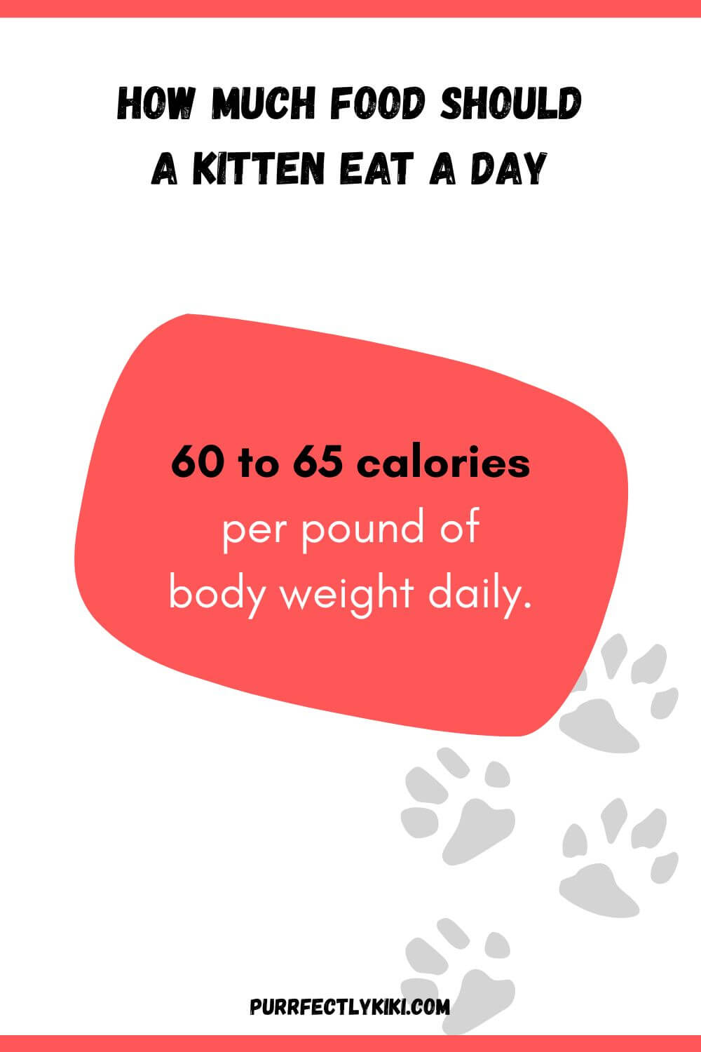How Much Food Should a Kitten Eat a Day - Chart IAI