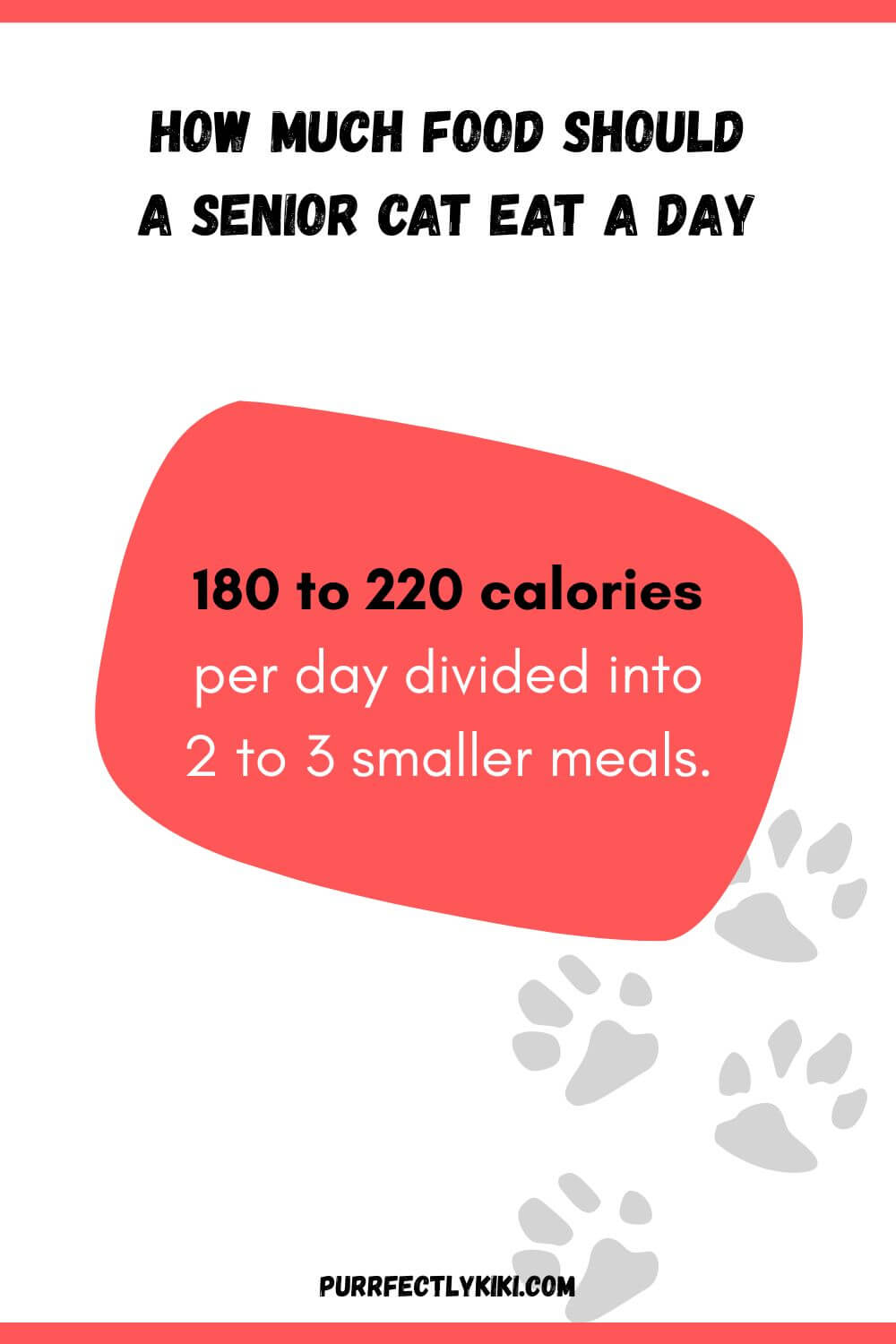 How Much Food Should a Senior Cat Eat a Day - Chart IAI