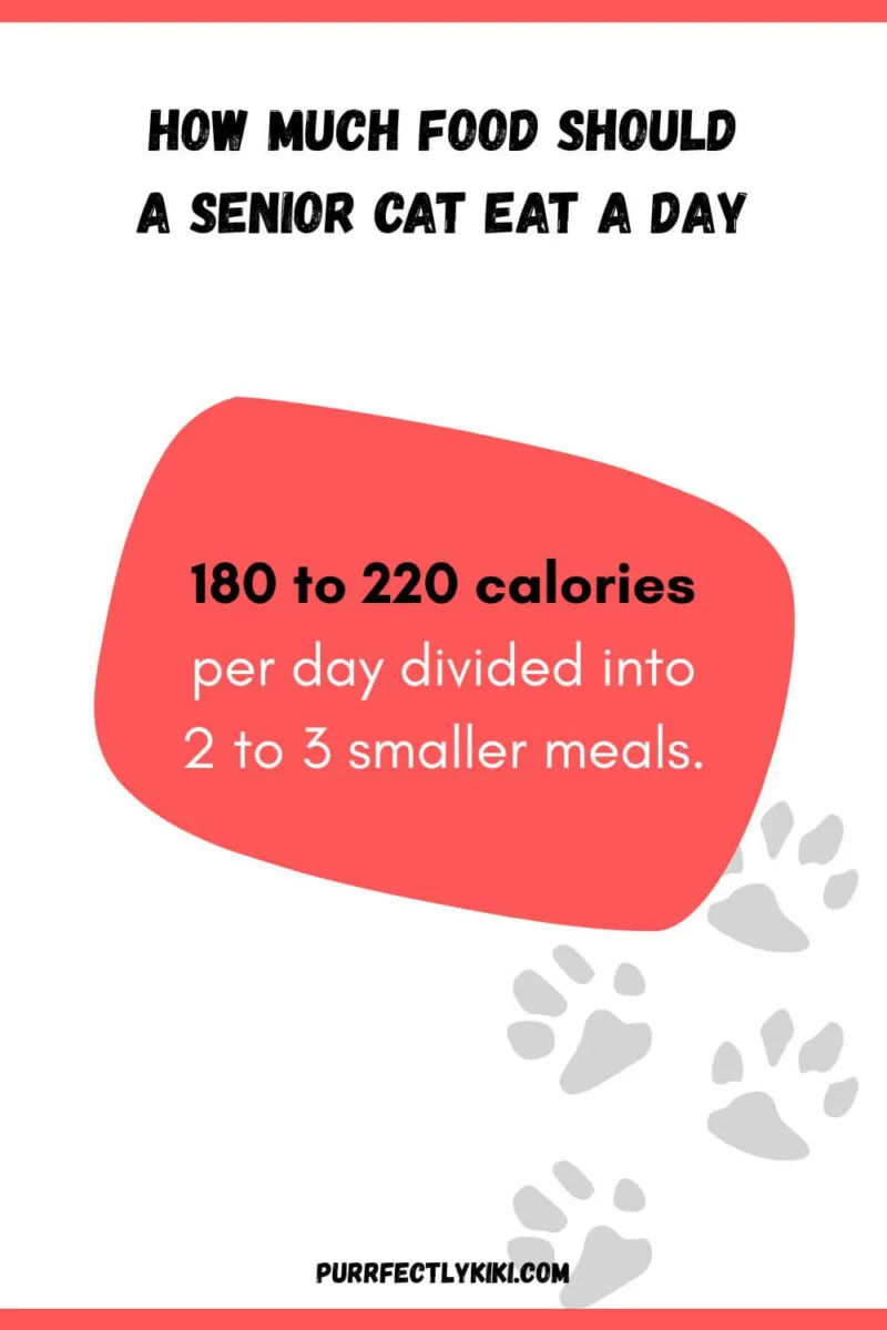 How Much Food Should a Senior Cat Eat per Day - Chart [IAI]