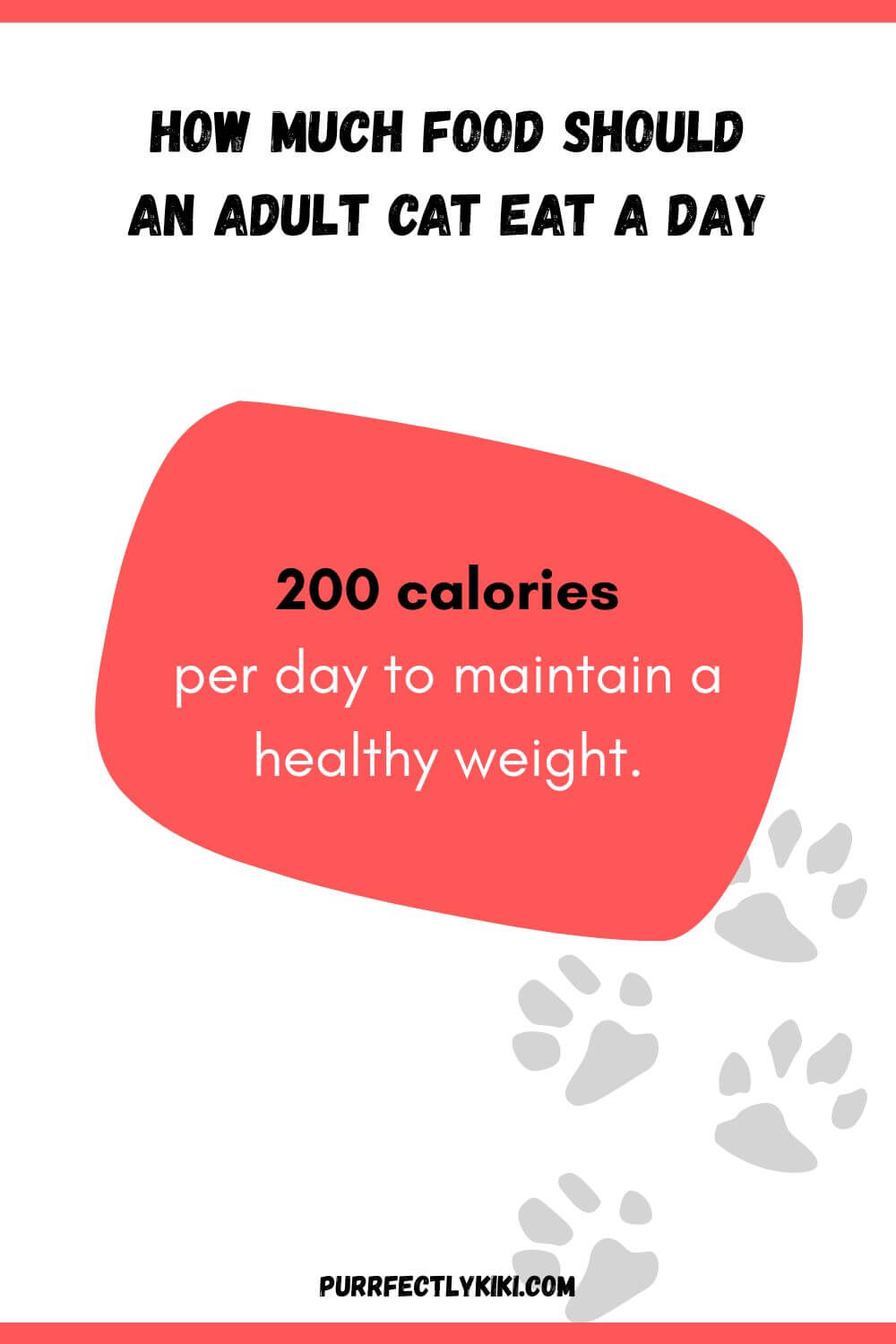 How Much Food Should an Adult Cat Eat a Day - Chart IAI