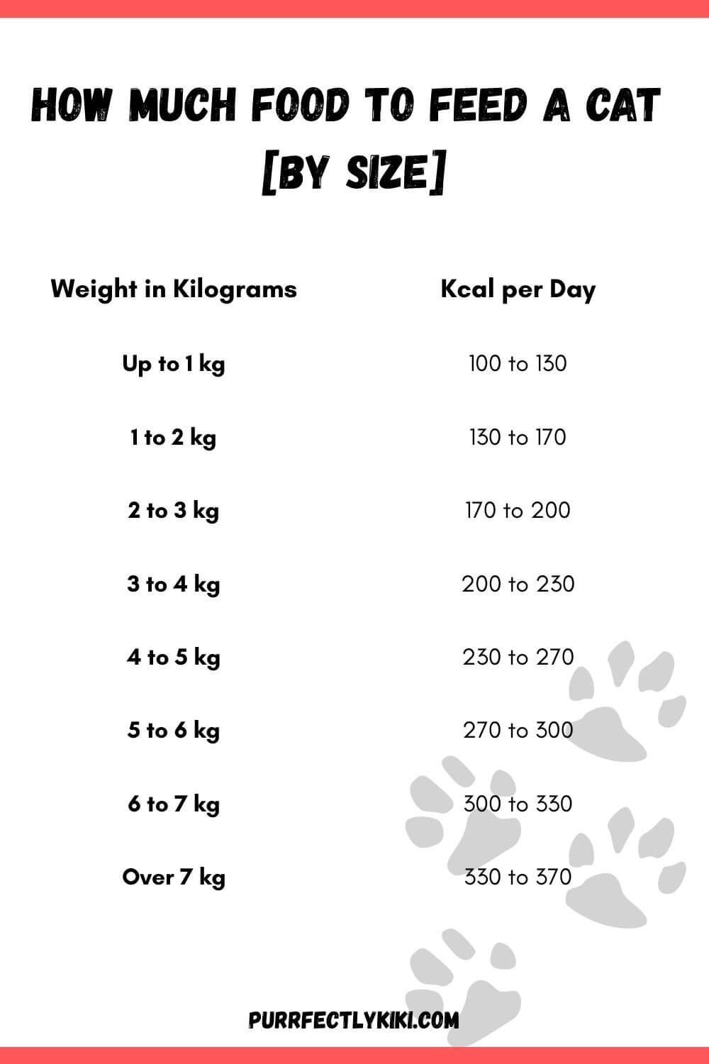 How Much Food to Feed a Cat [By Size] IG1