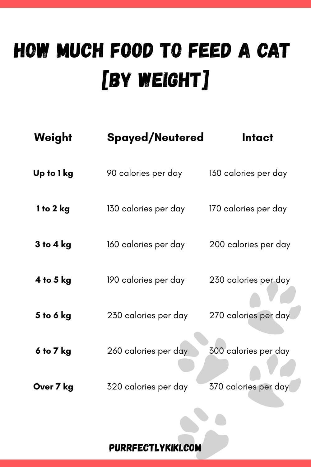 How Much Food to Feed a Cat [By Weight] IG3