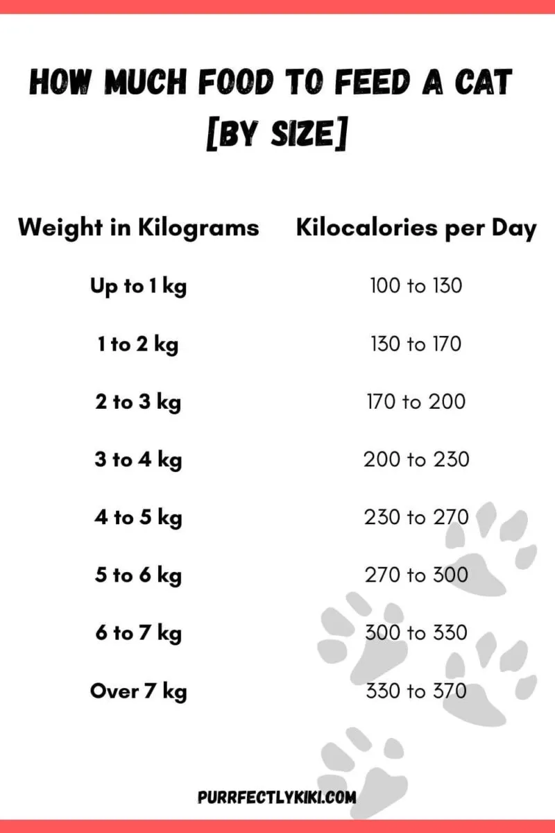 How Much Food to Feed a Cat by Size - Chart [IAI]