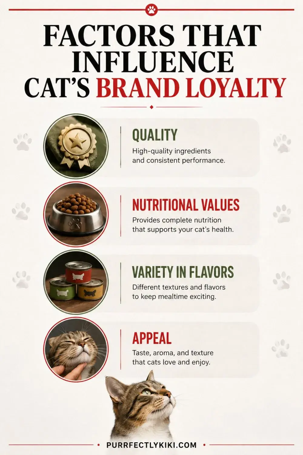 4 Factors That Influence Cat Brand Loyalty IAI