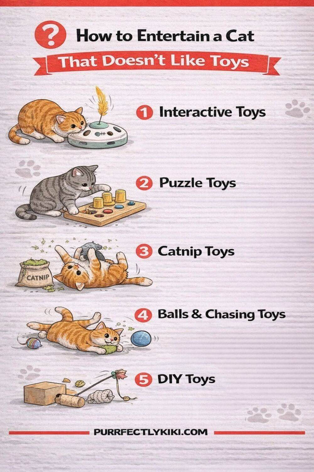 How to Entertain a Cat That Doesn’t Like Toys IAI