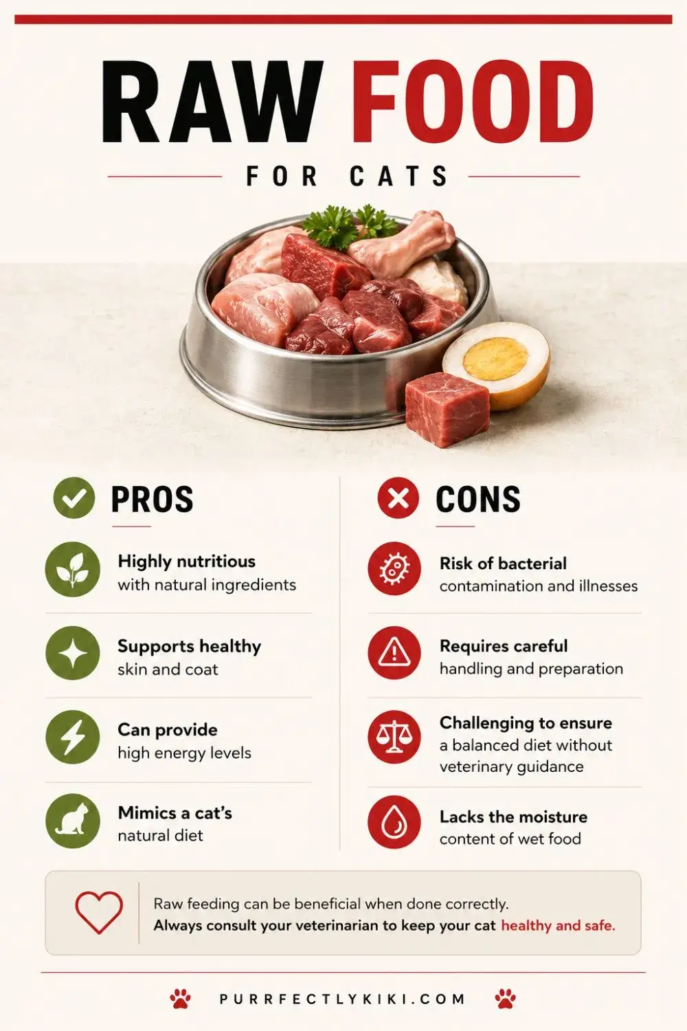 Raw Food For Cats - Pros and Cons IAI