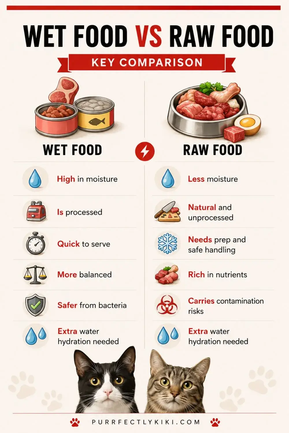 Wet Cat Food vs Raw Cat Food Comparison IAI