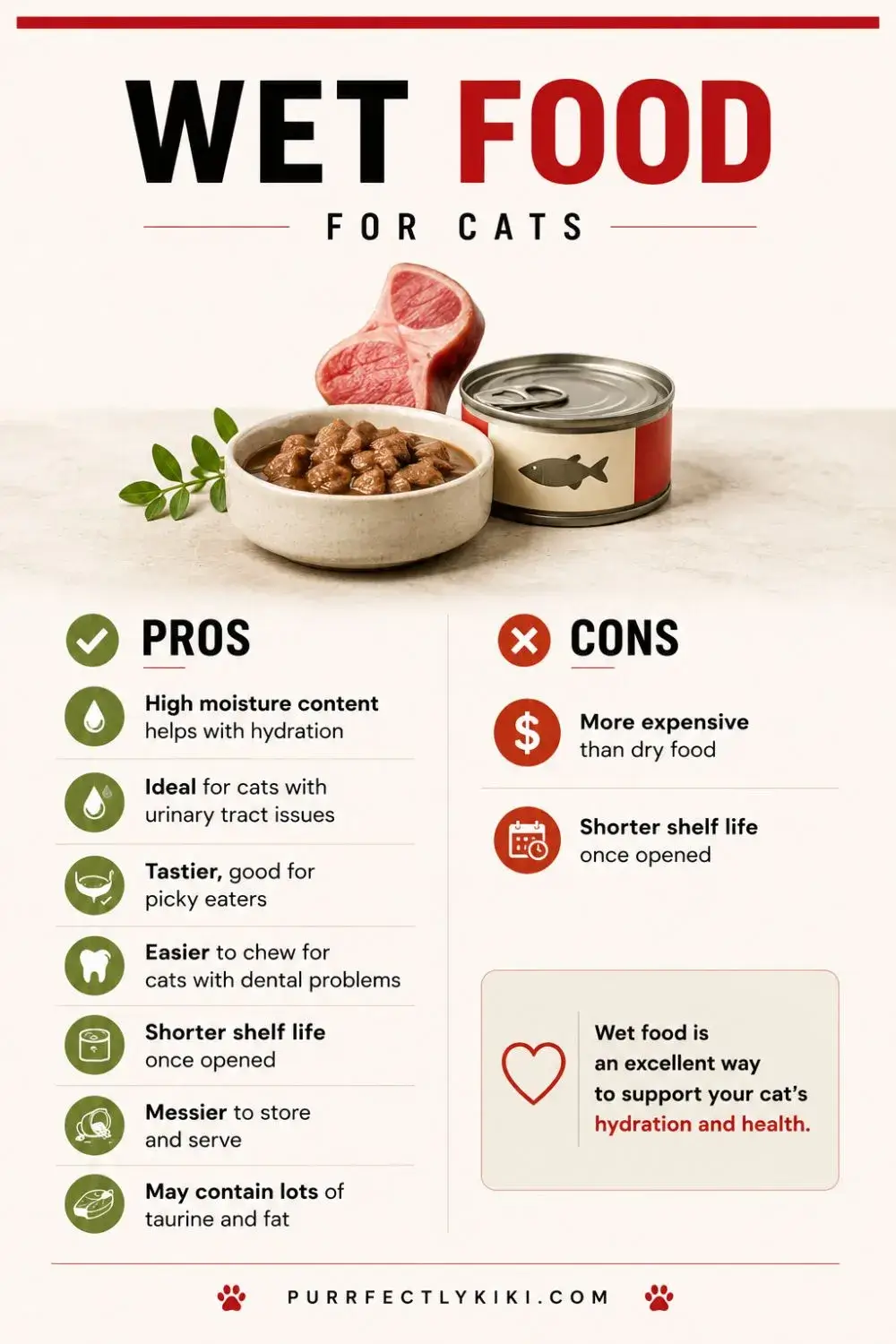 Wet Food For Cats - Pros and Cons IAI