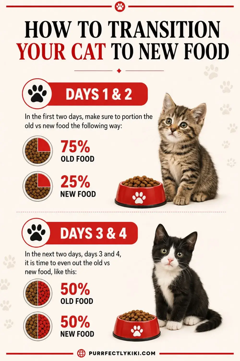 How to Transition Your Cat to New Food - First 4 Days