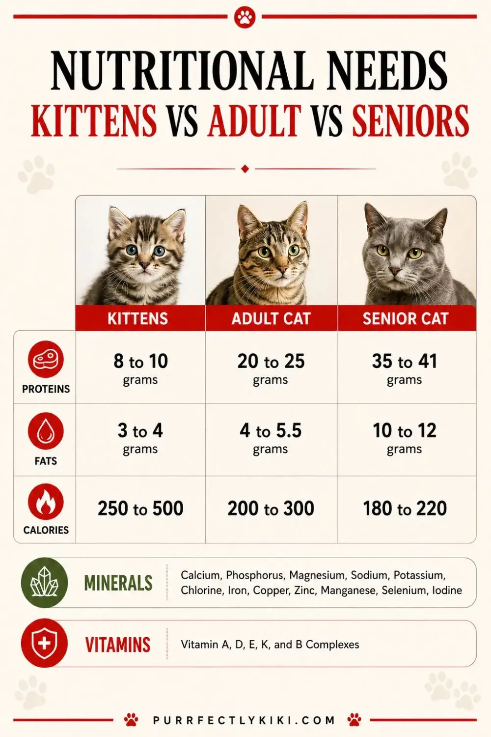 Nutritional Needs - Kittens vs Adult Cats vs Senior Cats IAI