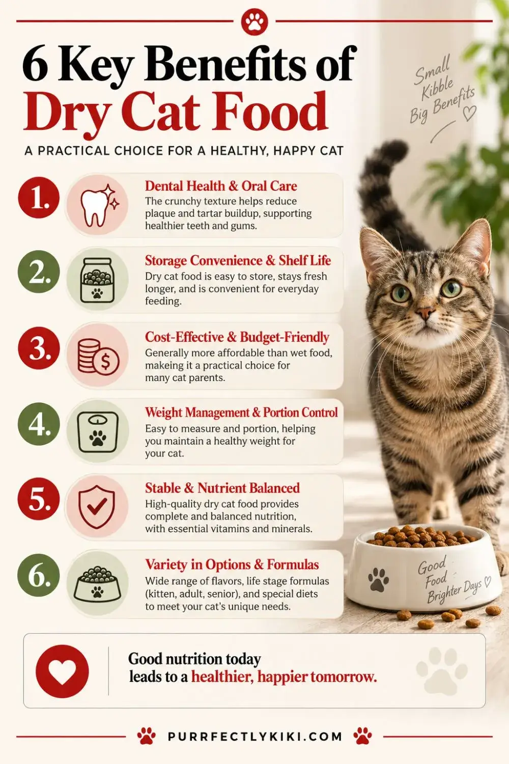 6 Vital Benefits of Dry Cat Food IAI