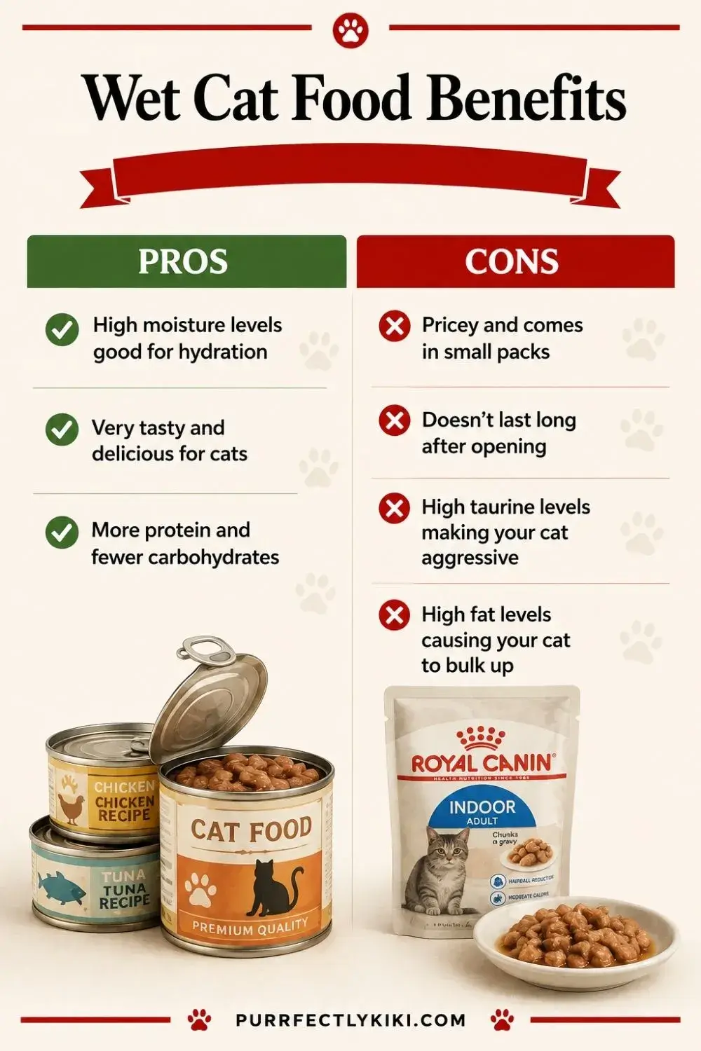 Dry Cat Food vs Wet Cat Food - Wet Cat Food Benefits & Drawbacks