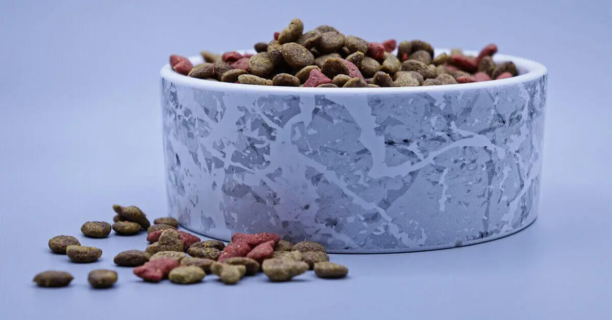 Key Benefits of Dry Cat Food FI