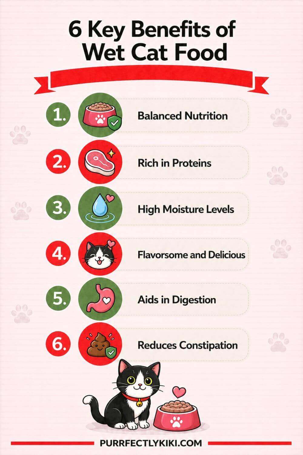 6 Key Benefits of Wet Cat Food IAI
