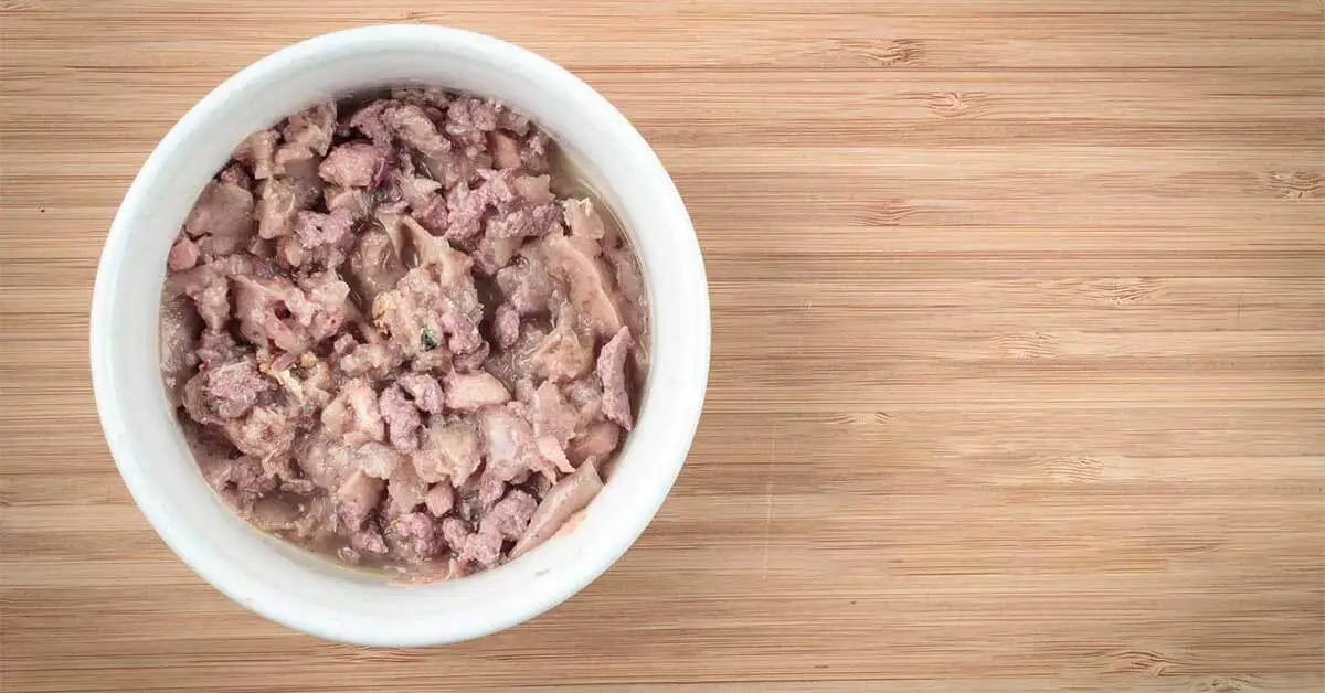 Main Benefits of Wet Cat Food FI