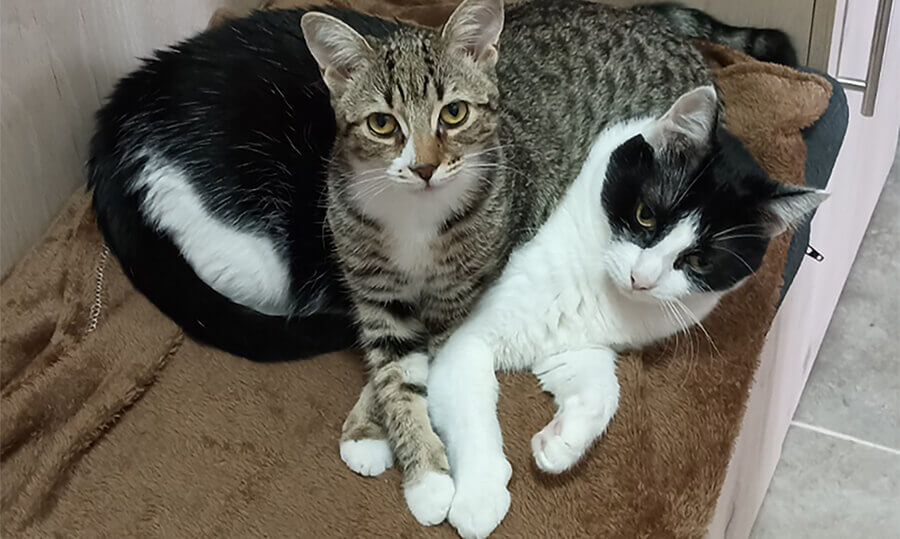 Kiki and Lili Hanging Out Together