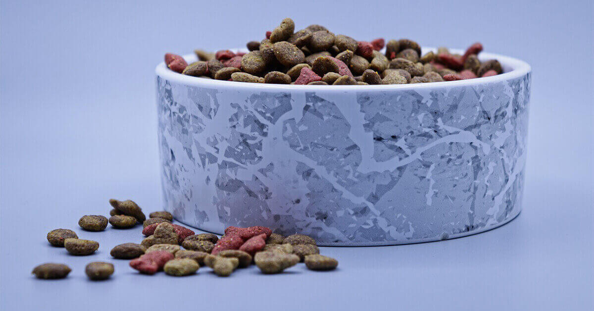 Numerous Benefits of Dry Cat Food - FI