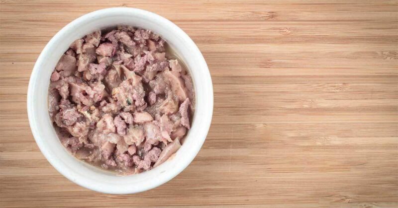 Numerous Benefits of Wet Cat Food - FI