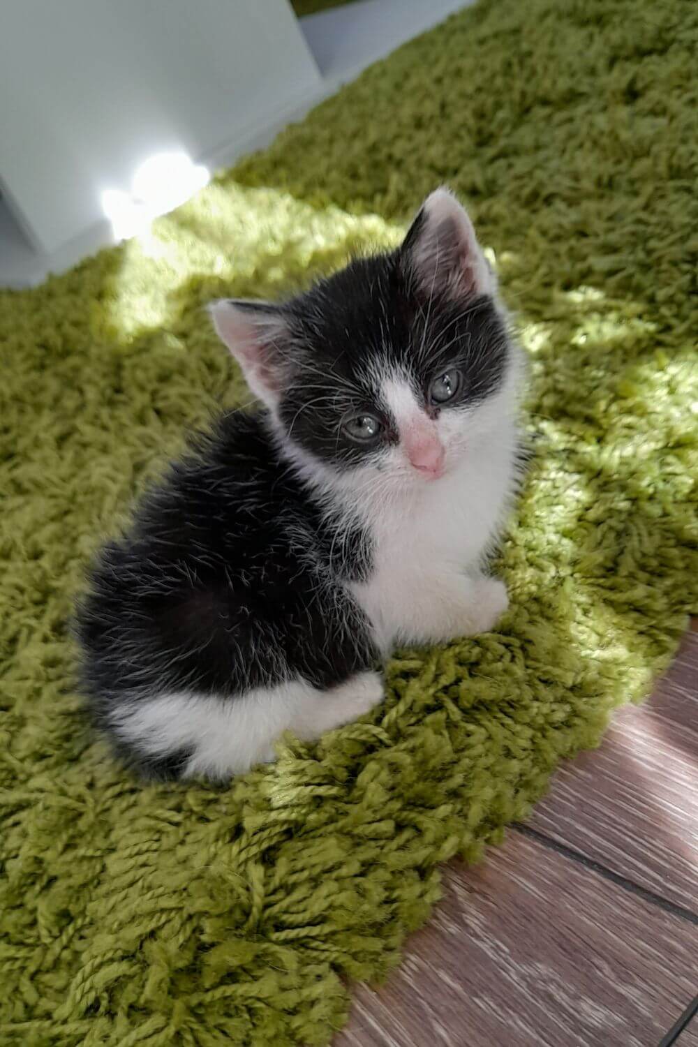 Kiki Baking in the Sun IM