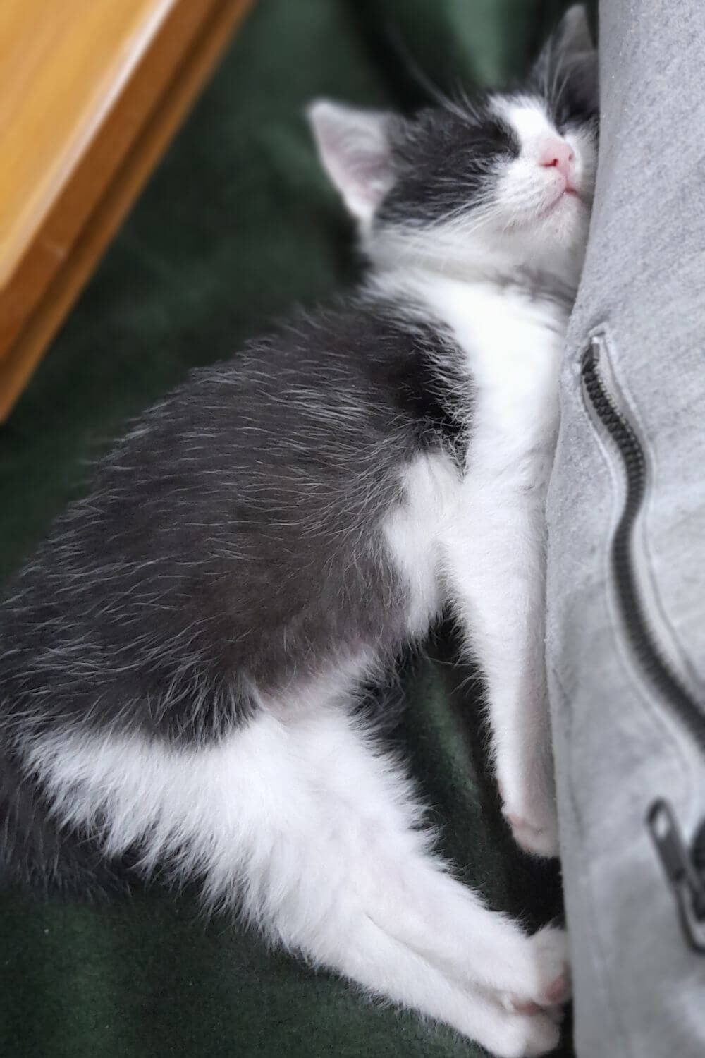 Kiki Crashed Out After Playing