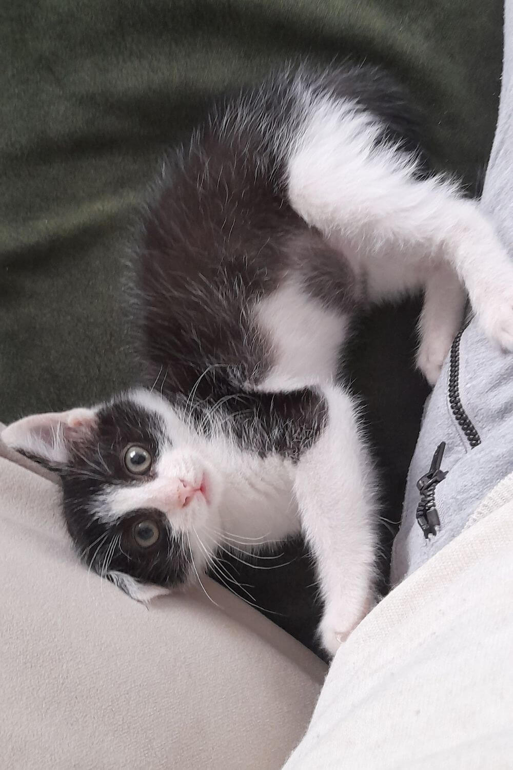 Kiki Playing with Daddy