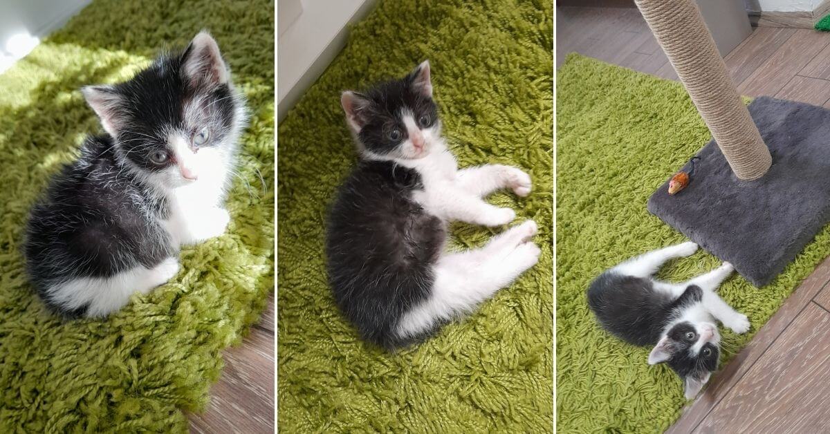 Kiki's Life Story - How She Changed Our Lives FI