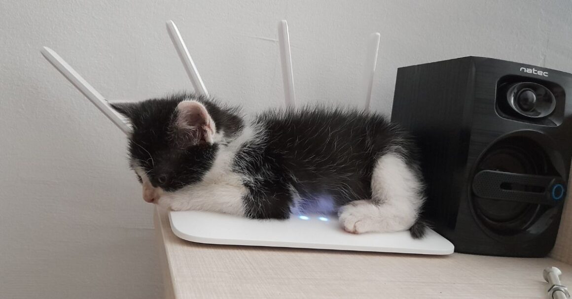 Kiki Found a Cozy & Warm Spot