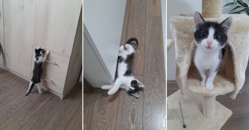 Kiki's Growth - First 6 to 12 Months FI