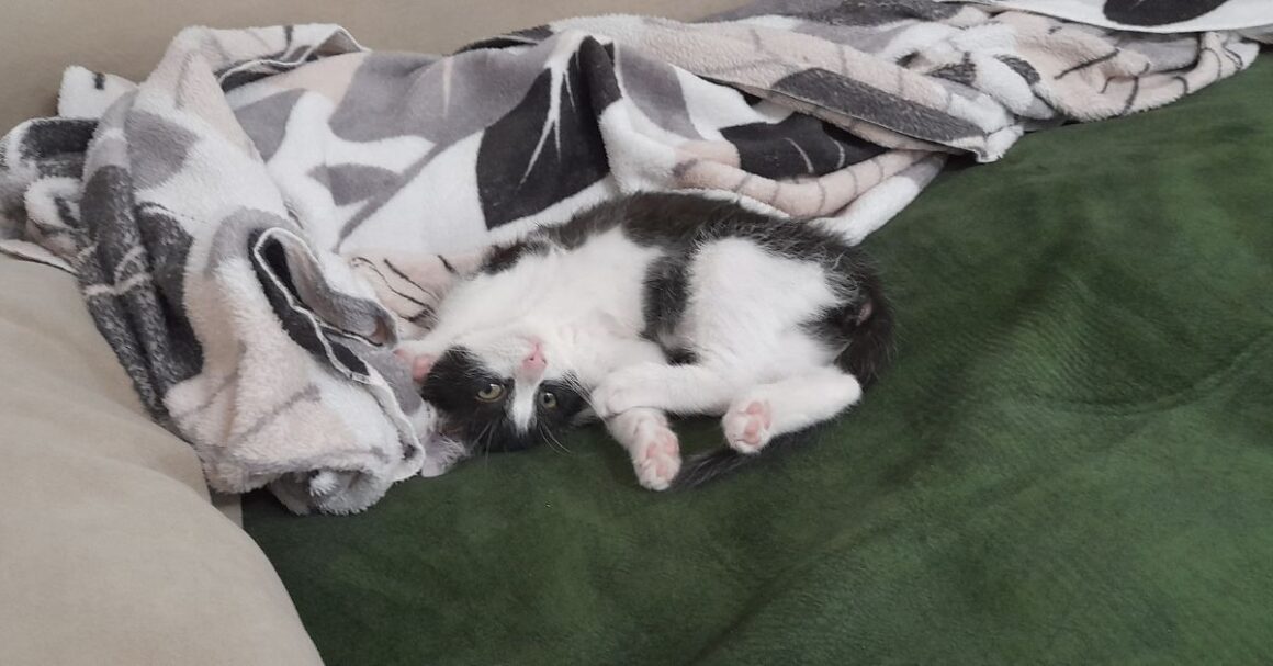 Look at Meee, I'm so Prettyy