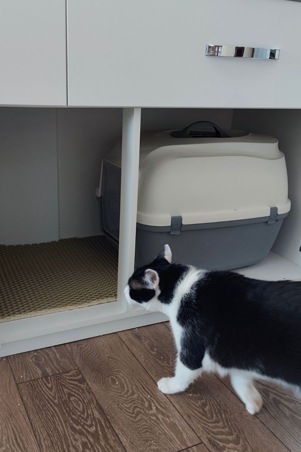 Enclosed Cat Litter Box - Kiki Goes Inside #1