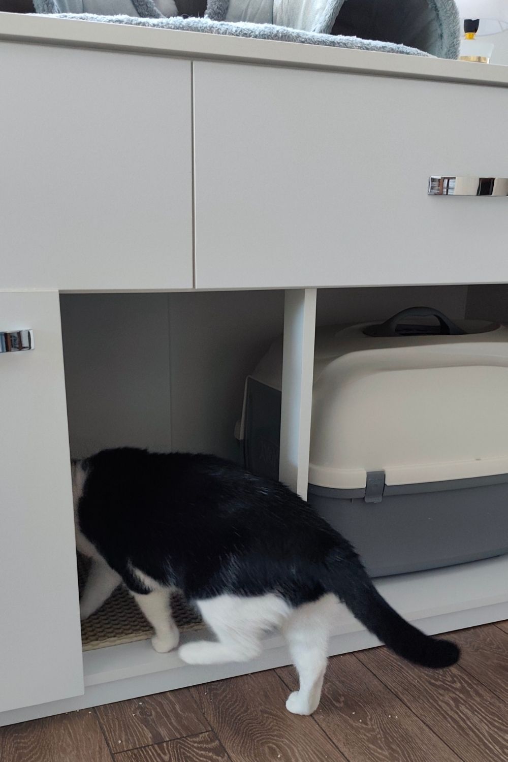 Enclosed Cat Litter Box - Kiki Goes Inside