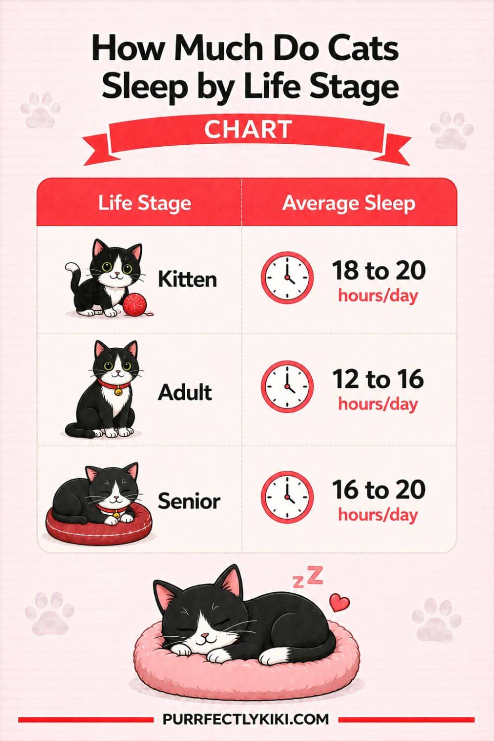 How Much Do Cats Sleep by Life Stage - Chart IAI