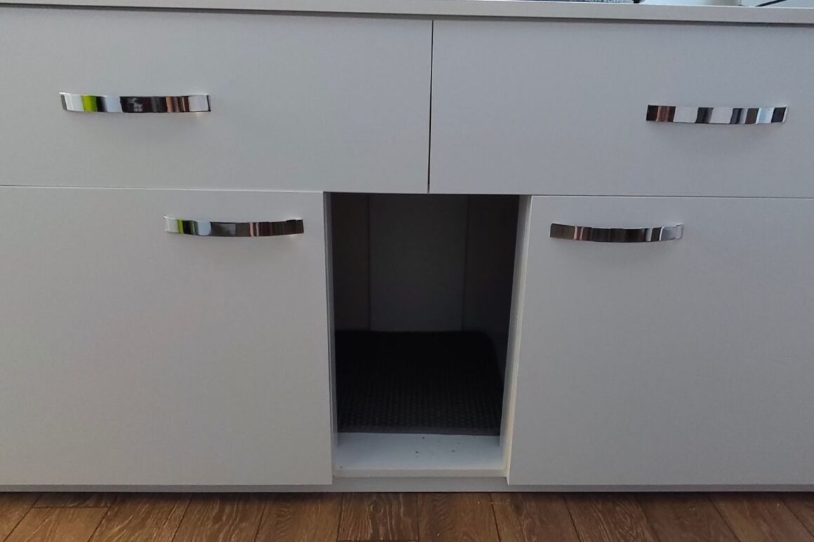 Litter Box Setup with 2 Closed-Top Litter Boxes IAI
