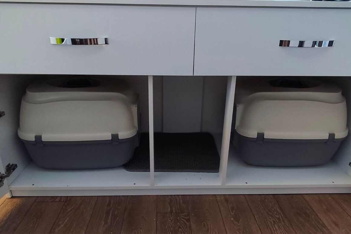 Litter Box Setup with Open Doors to the 2 Closed-Top Litter Boxes IAI