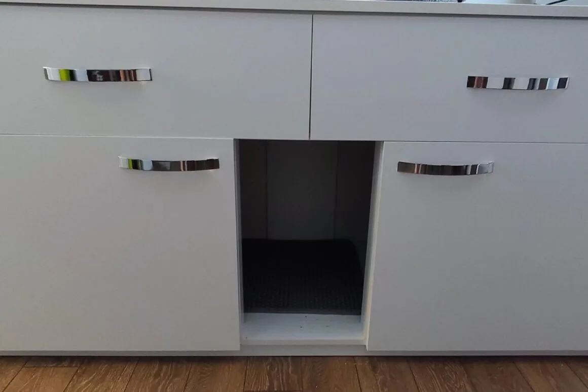 Our Litter Box Setup with 2 Closed Top Litter Boxes - IAI