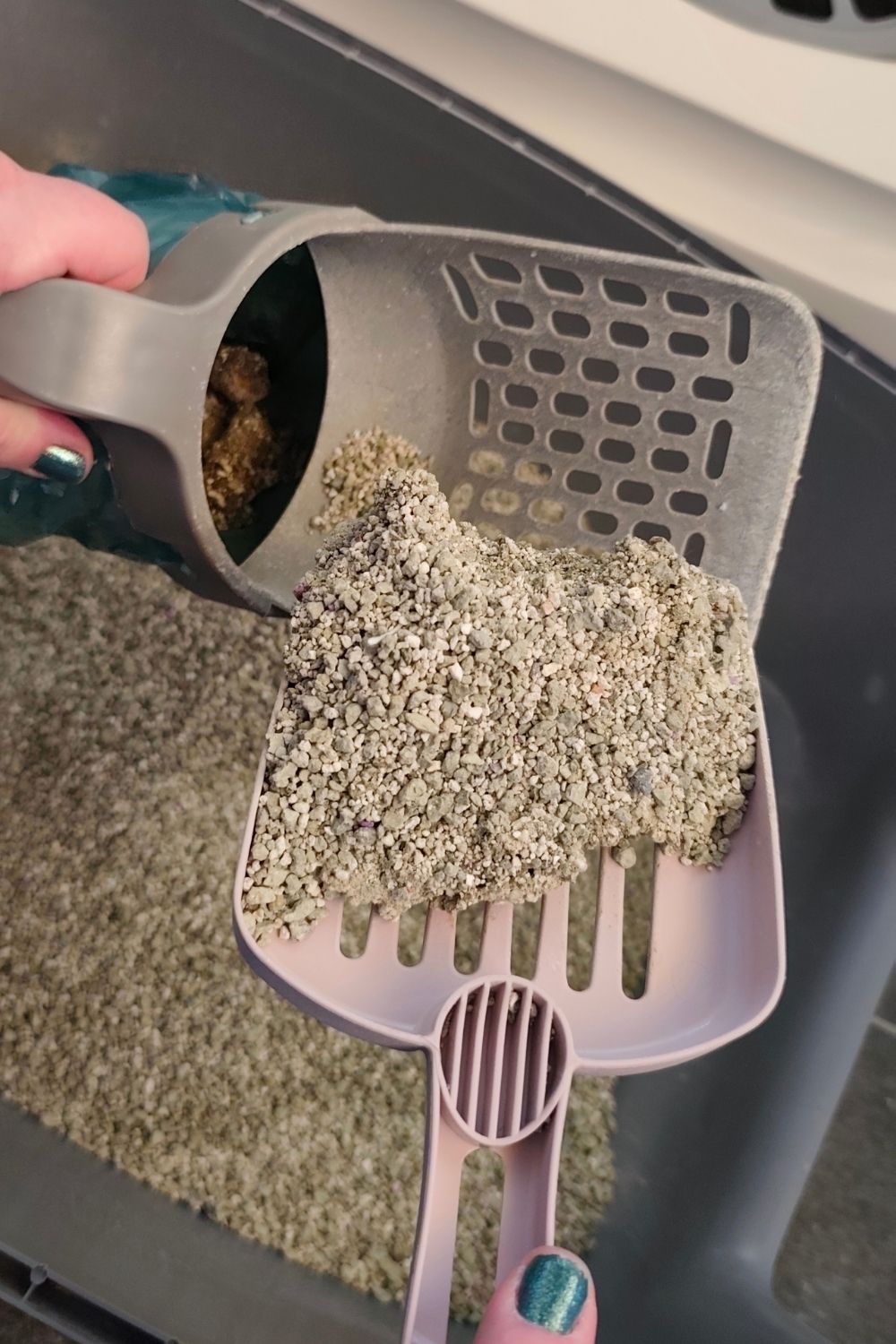 Pick up the cat litter with the litter scoop and put it in the container. #2