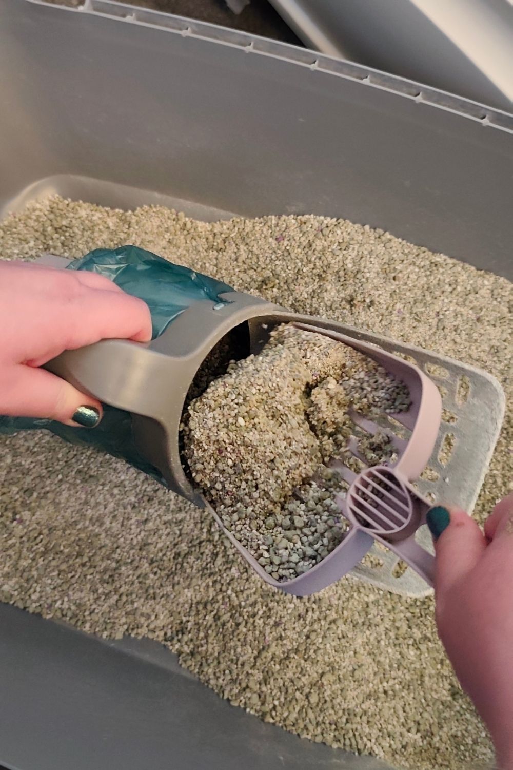 Pick up the cat litter with the litter scoop and put it in the container.