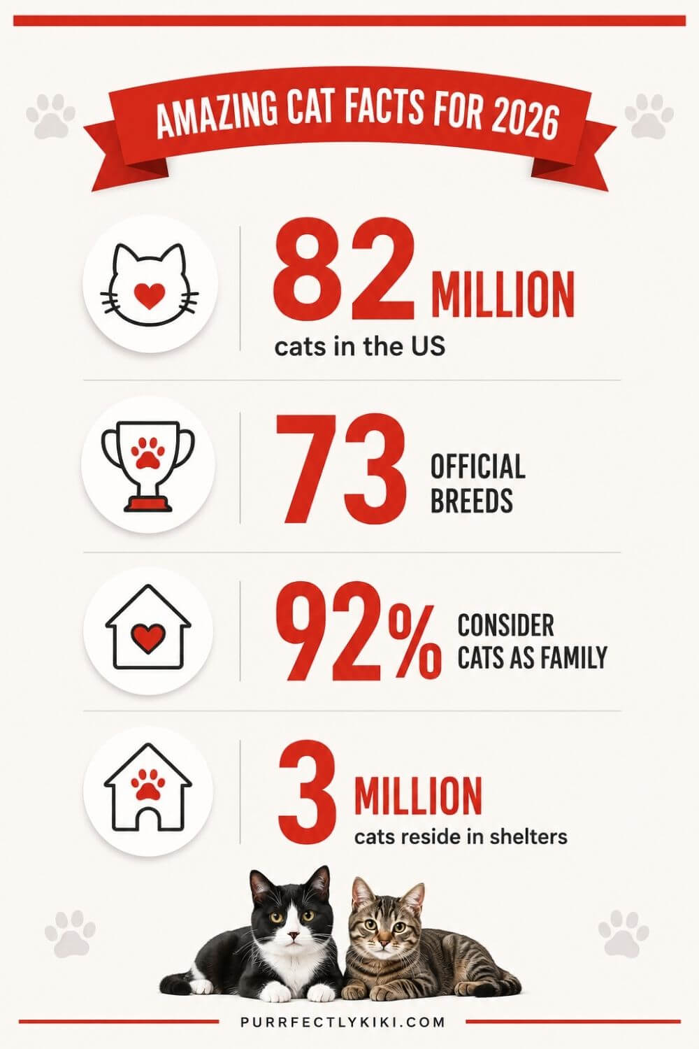 Amazing Cat Facts for 2026 - IAI