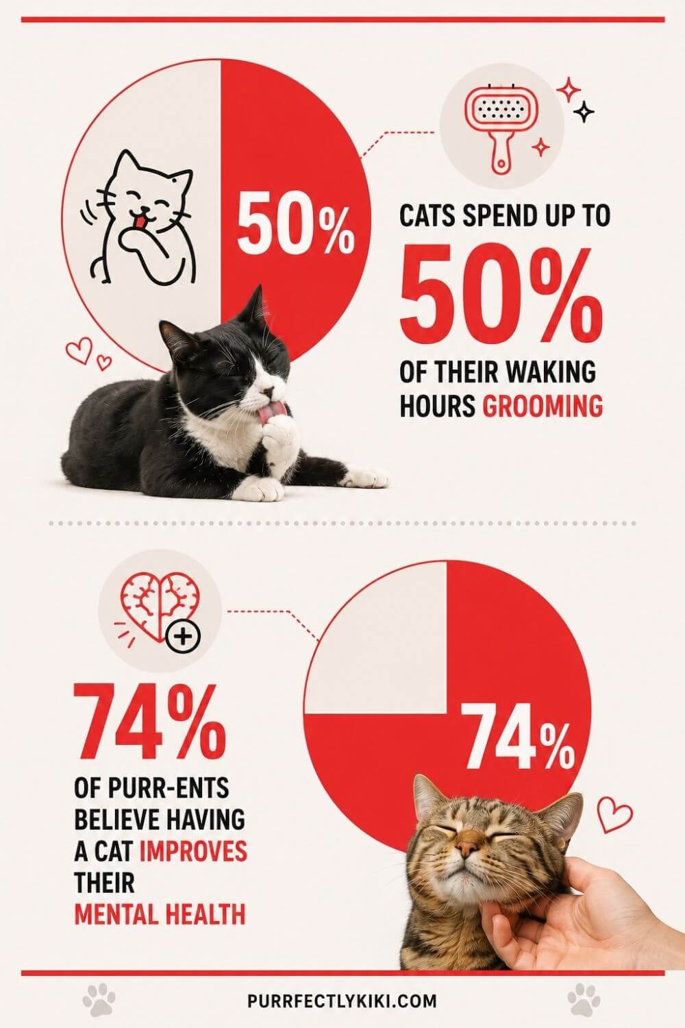 Facts About Cats - purrfectlykiki.com IAI