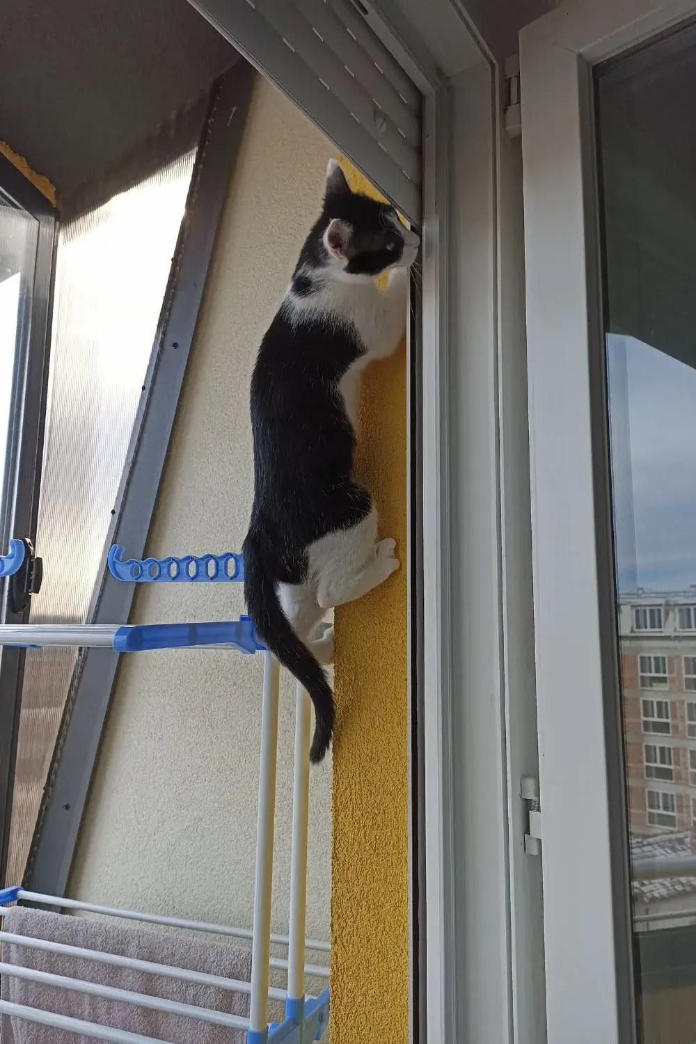 Kiki Climbing the Building #2