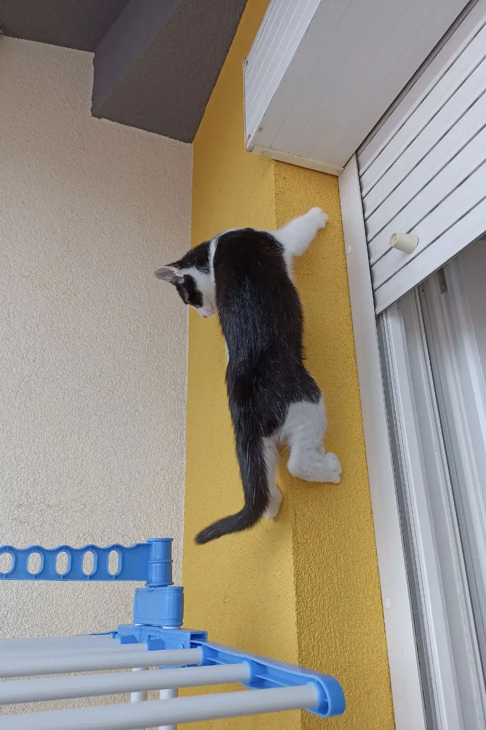 Kiki Climbing the Building
