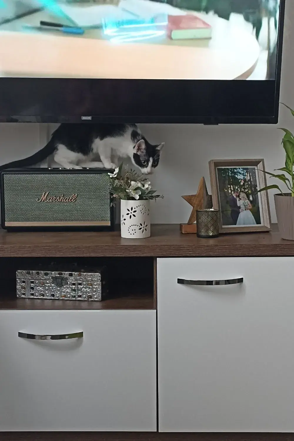 Kiki Preparing to Attack #2